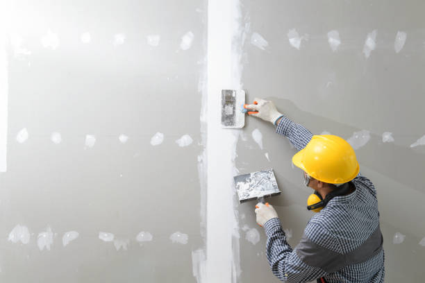 Best Post-Construction Mold Inspection  in Bolivar, OH