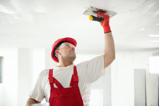 Best Forensic Mold Investigation  in Bolivar, OH